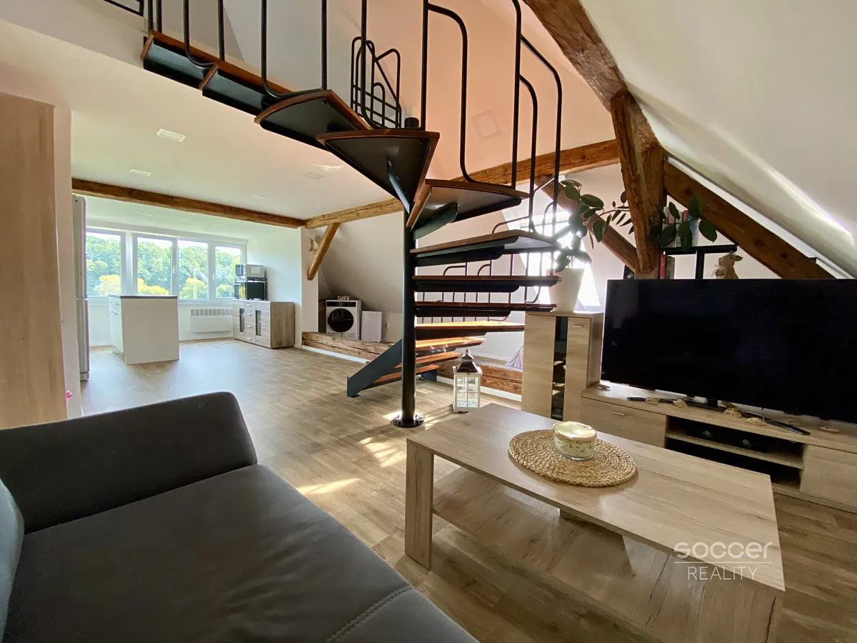 Pronájem bytu 1+kk 45 m²