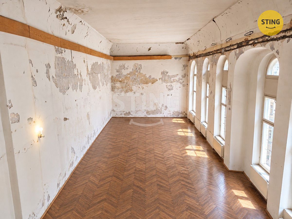 Prodej památky 200 m², pozemek 146 m² – fotografie 3
