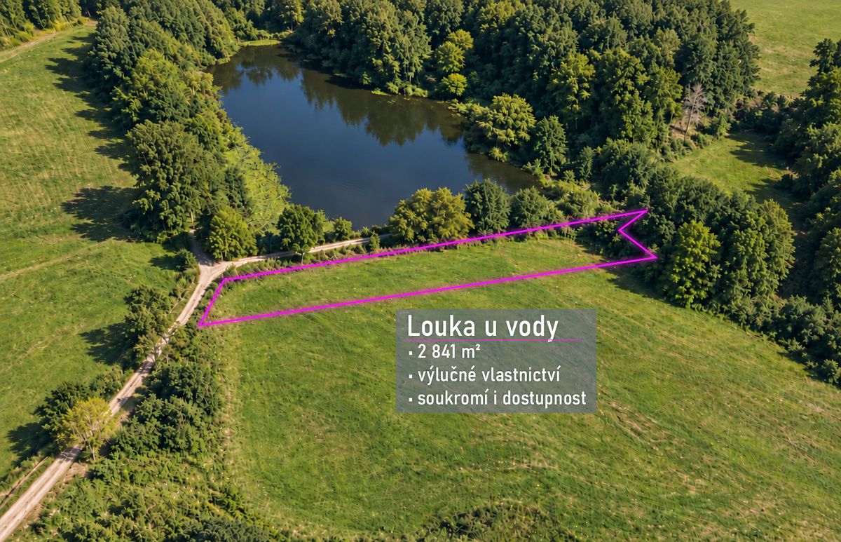 Prodej louky 2841 m², Blažejov – fotka 1 z 3