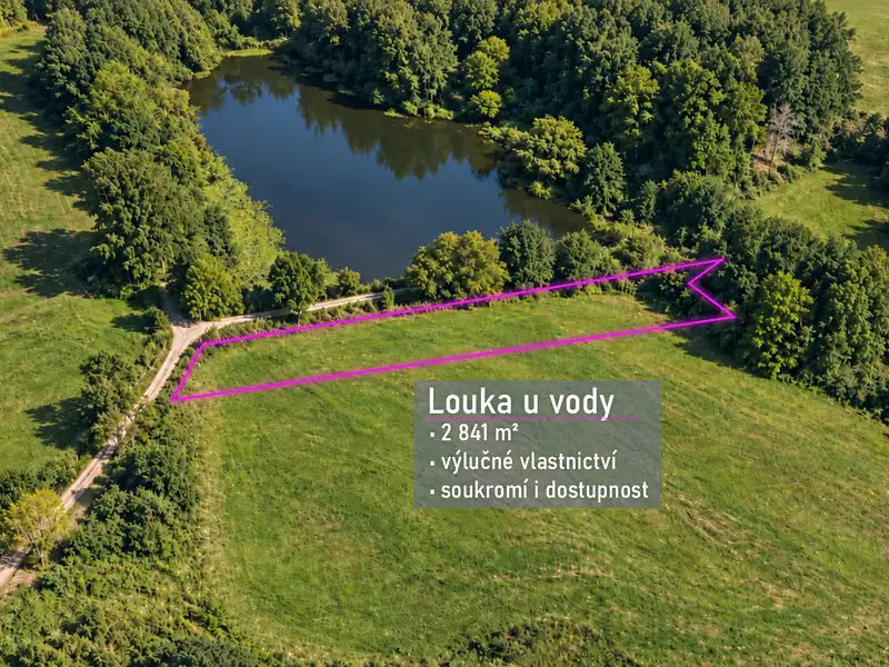 Prodej louky 2841 m², Blažejov – náhled fotky 1