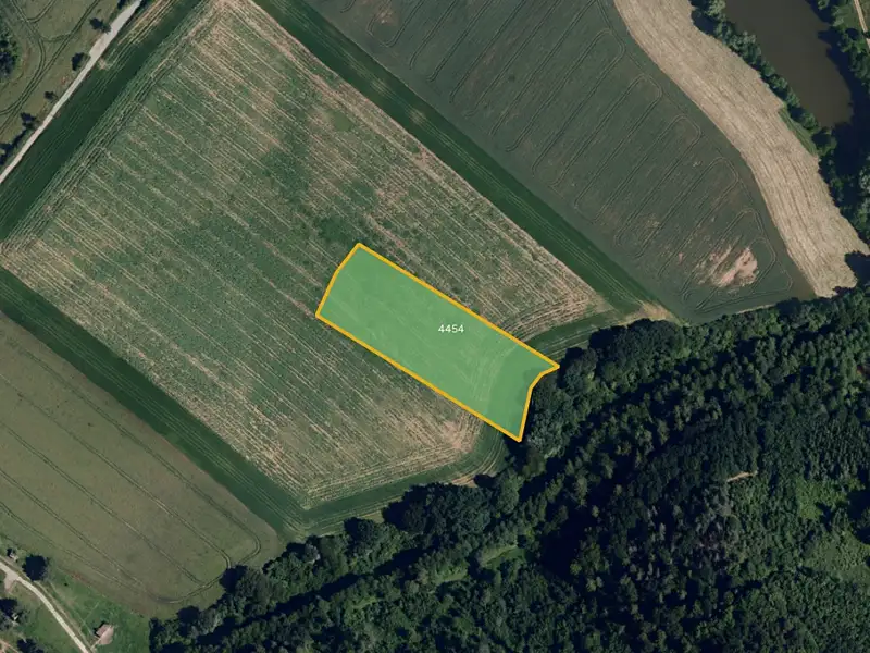 Prodej pole 9942 m², Knínice – náhled fotky 3