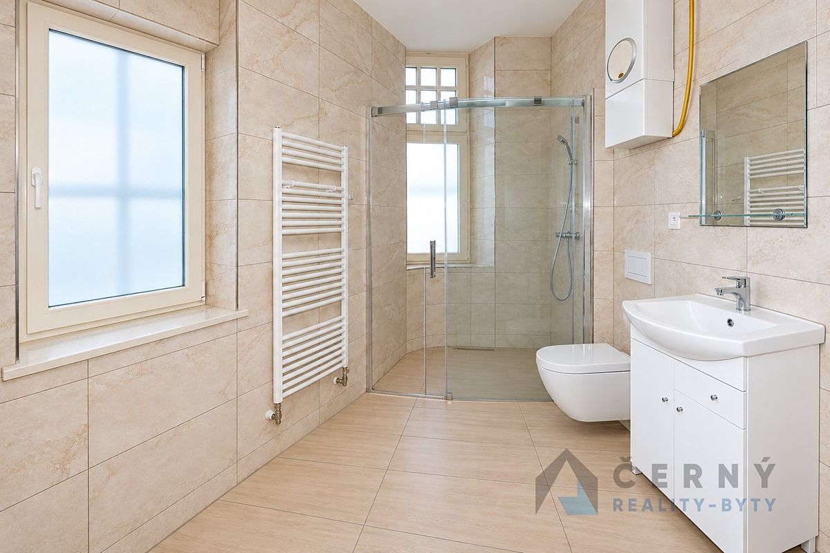 Pronájem bytu 2+1 45 m² – fotografie 3