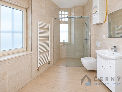 Pronájem bytu 2+1, 45 m² (3 z 19)