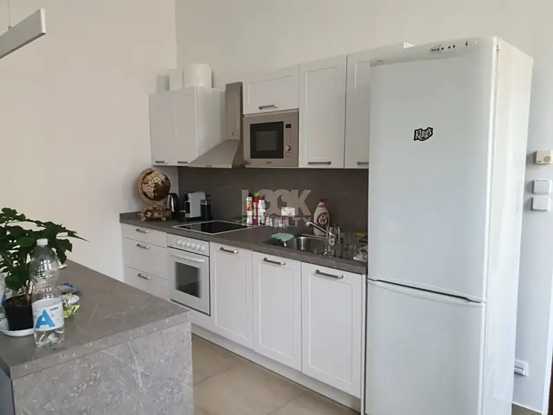 Pronájem bytu 2+kk 65 m², Praha – náhled fotky 2
