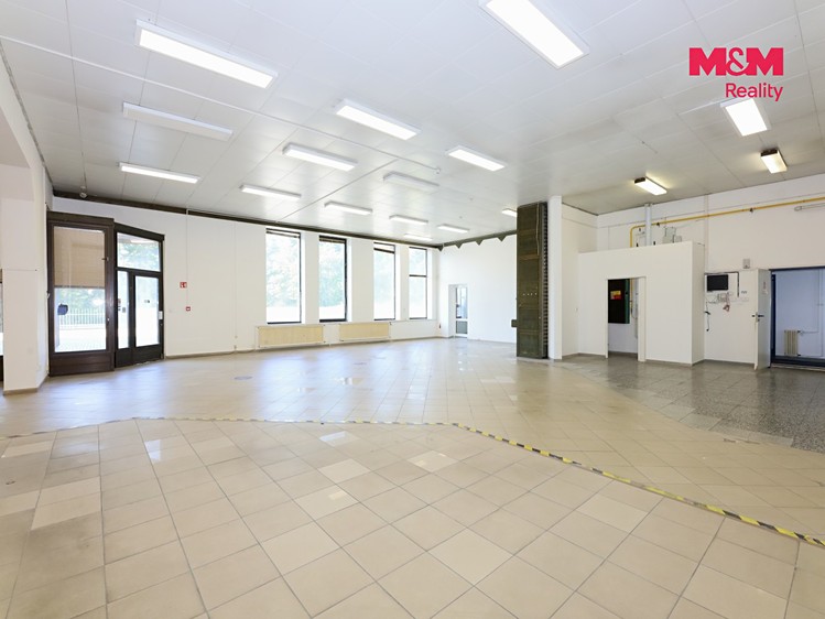 Комерційне приміщення в оренду, 607 м² (4 з 10)