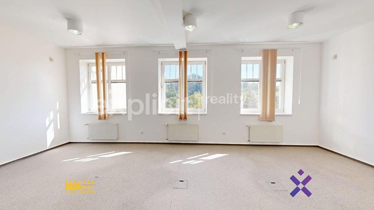 Pronájem kanceláře 460 m² – fotografie 4