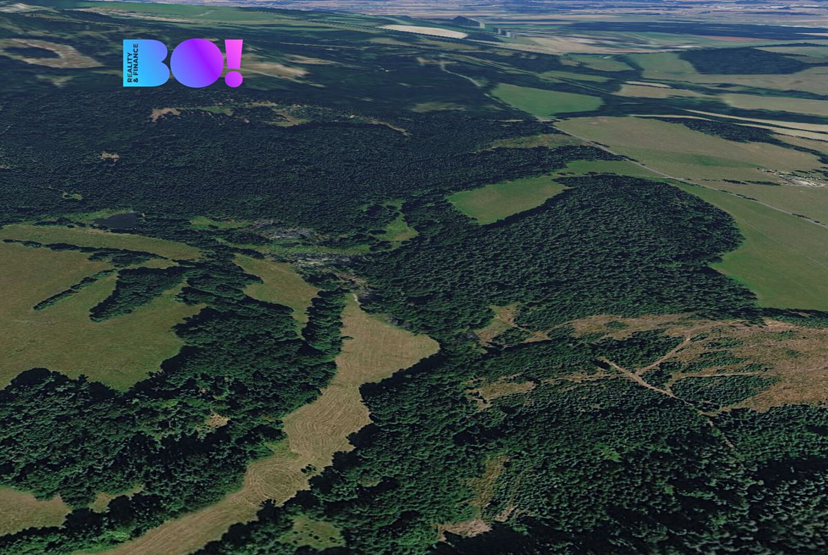 Prodej pole 1600 m² – fotografie 3