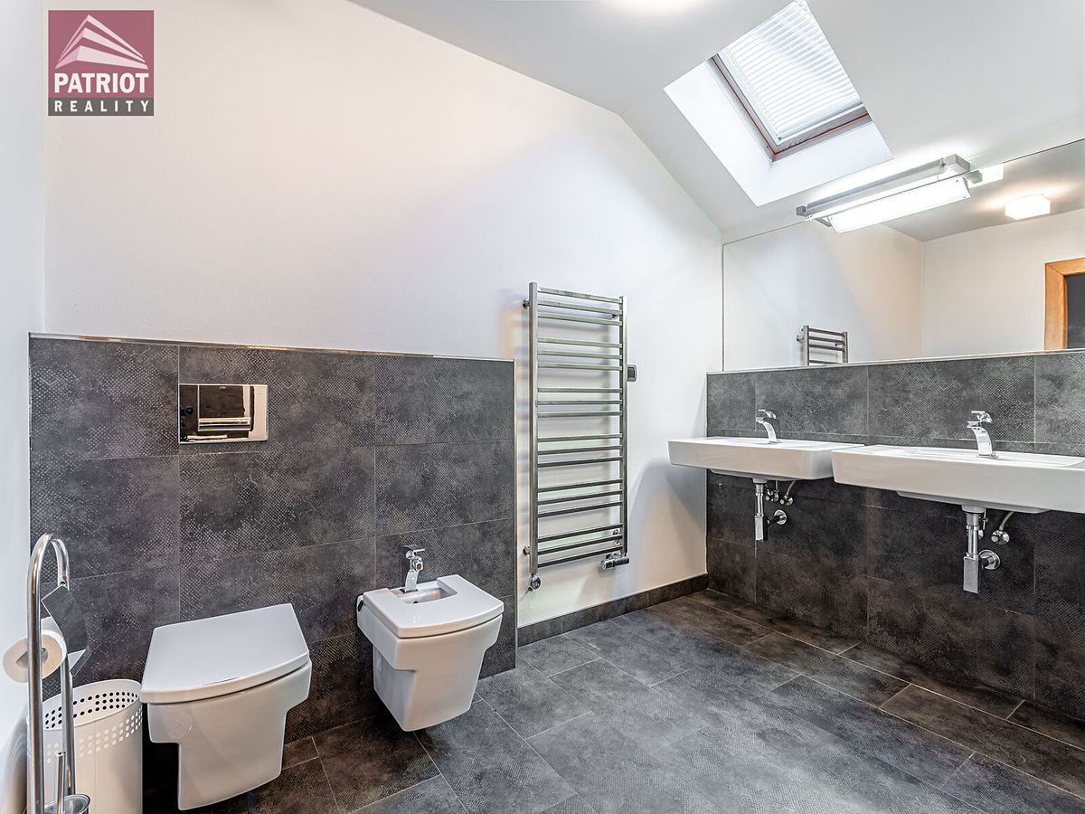 Pronájem rodinného domu 480 m², pozemek 846 m² – fotografie 4