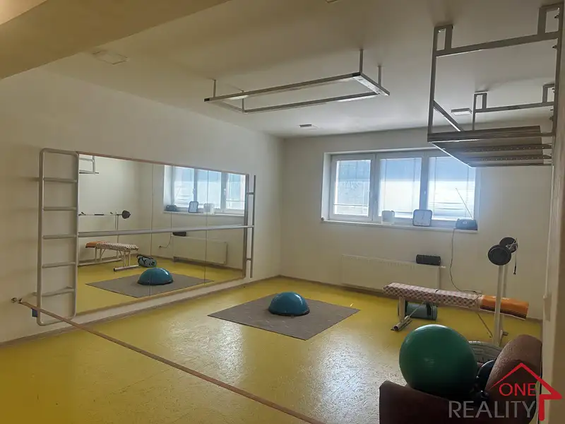 Pronájem ordinace 375 m², Napajedla – náhled fotky 3
