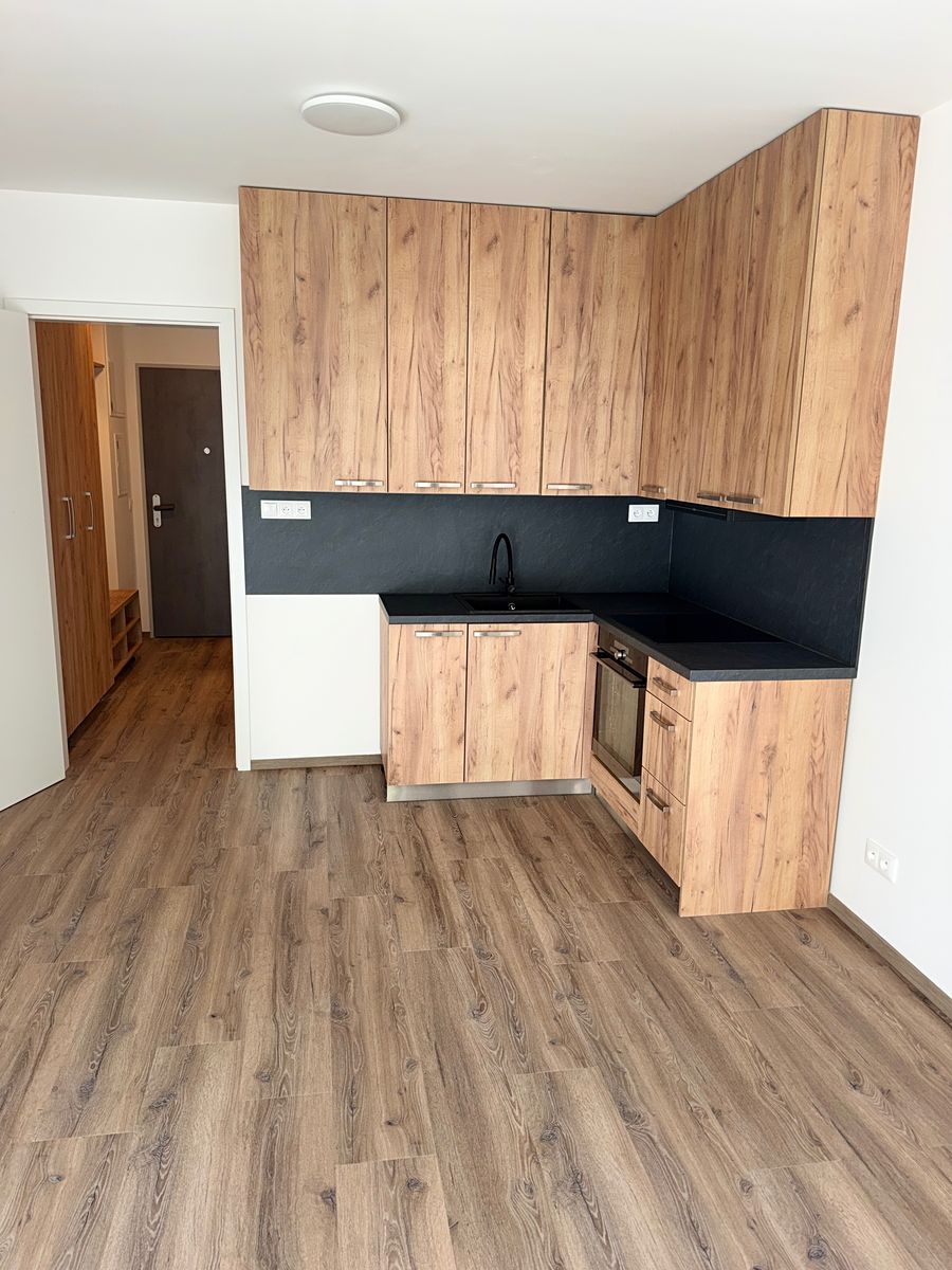 Pronájem bytu 1+kk 30 m²