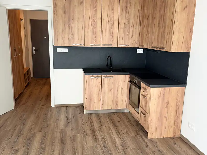 Pronájem bytu 1+kk 30 m², Hradec Králové – náhled fotky 1