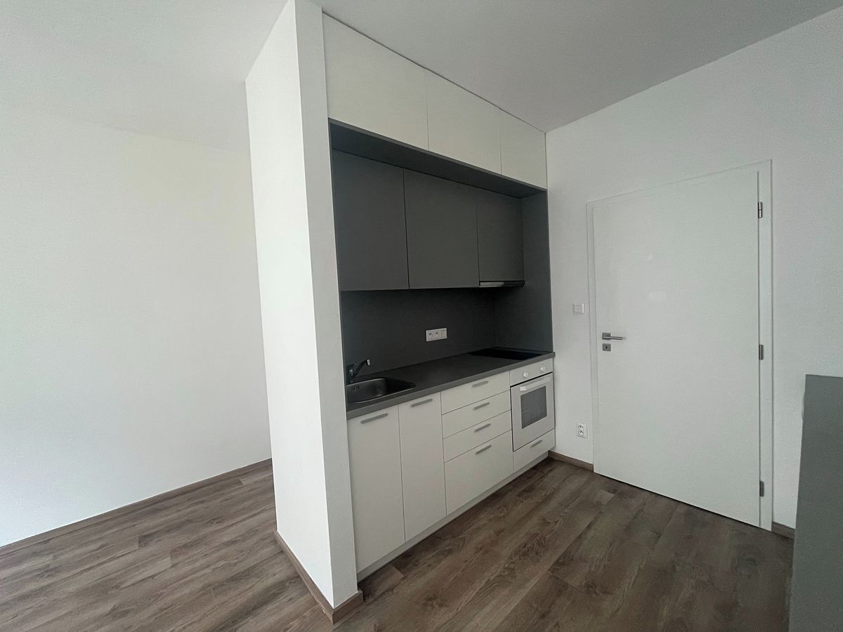 Pronájem bytu 1+kk 28 m² – fotografie 3
