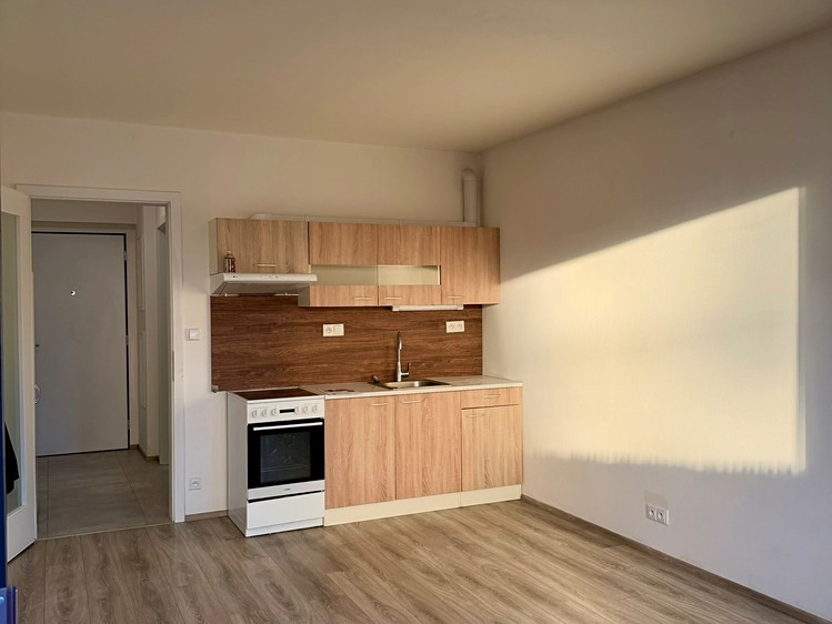 Квартира 1+kk в оренду, 33 м² (16 з 20)