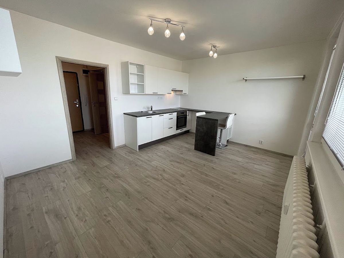 Pronájem bytu 1+kk 25 m² – fotografie 2