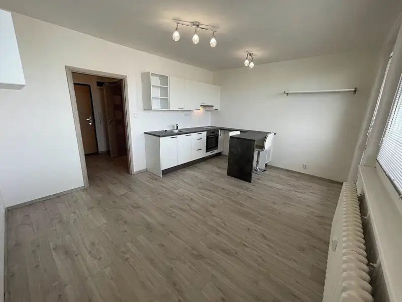Pronájem bytu 1+kk 25 m², Praha – náhled fotky 2