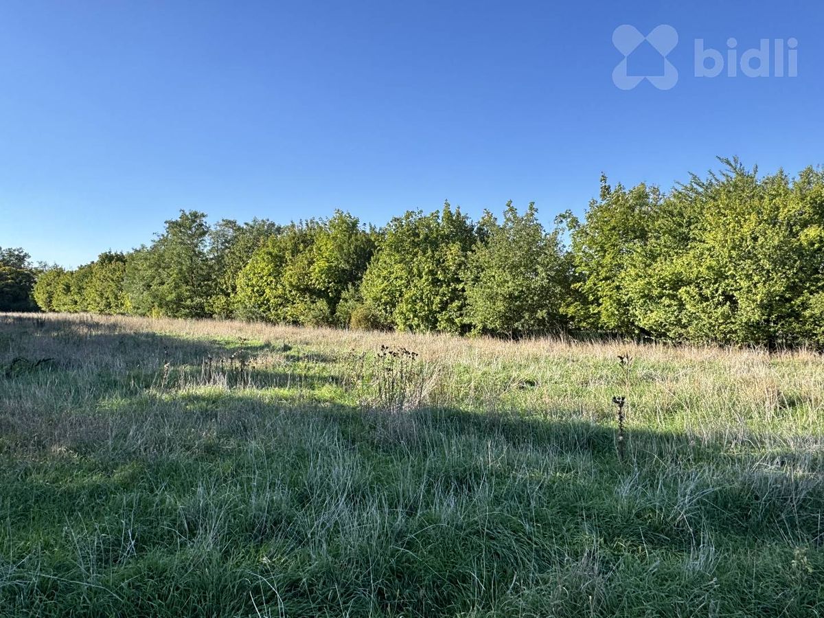 Prodej stavebního pozemku 1756 m² – fotografie 3