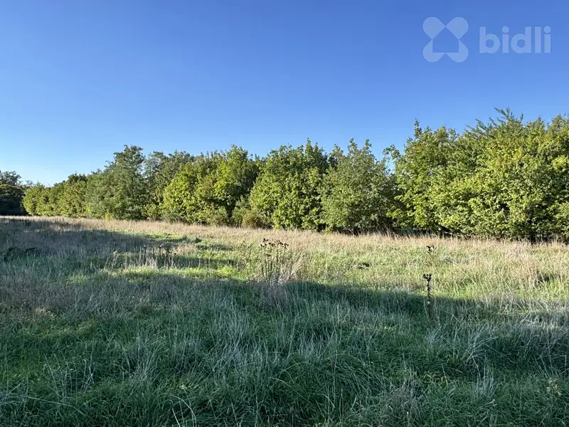 Prodej stavebního pozemku 1756 m², Ivančice – náhled fotky 3
