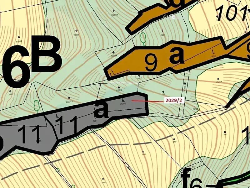 Dražba lesa 788 m², Hovězí – náhled fotky 3
