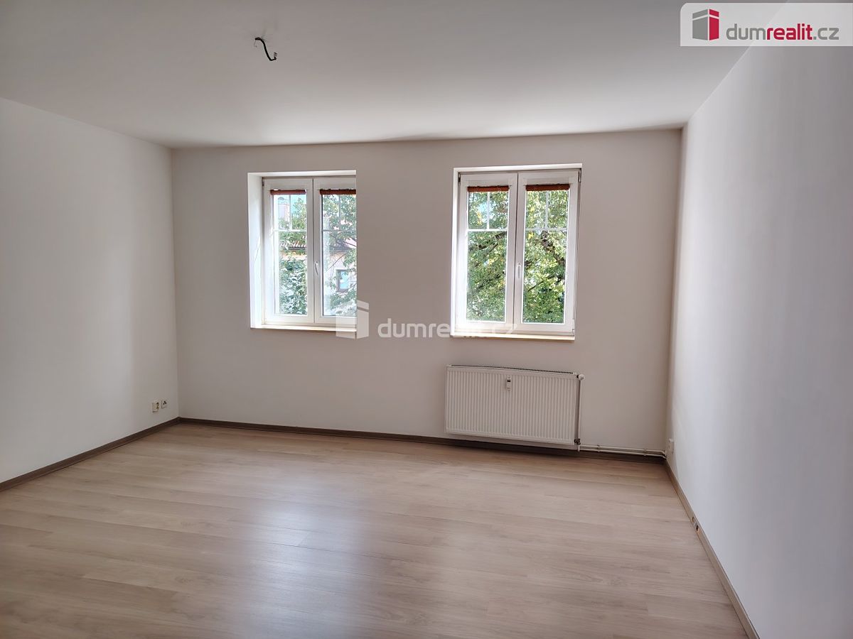 Pronájem bytu 1+1 45 m² – fotografie 3