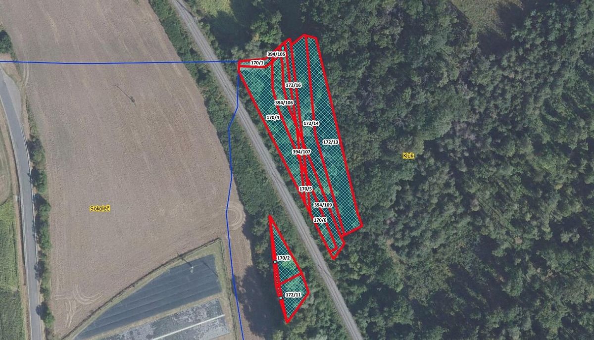 Prodej lesa 5736 m², Poděbrady – fotka 1 z 3