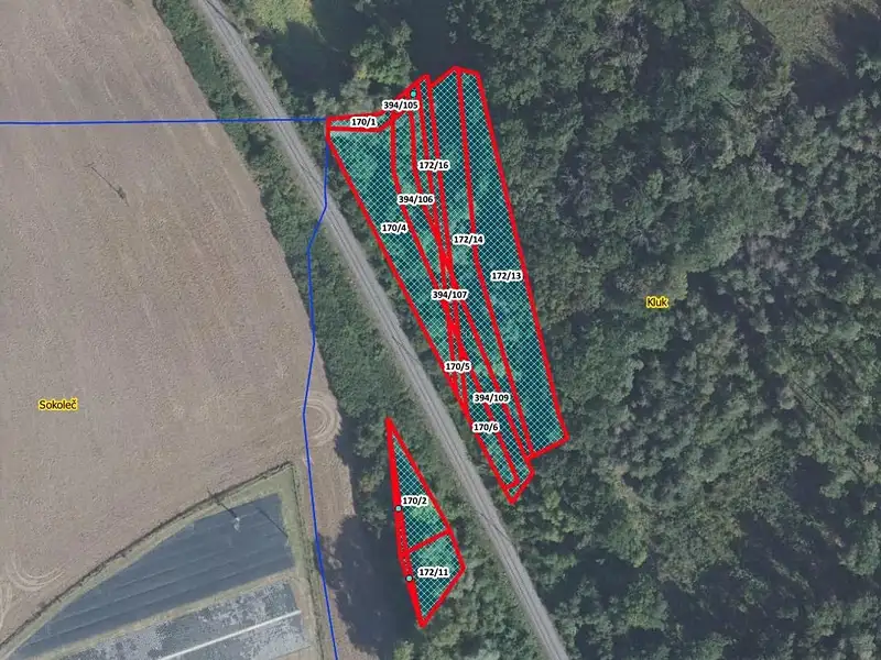Prodej lesa 5736 m², Poděbrady – náhled fotky 1