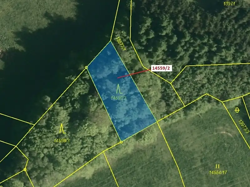 Dražba lesa 605 m², Hovězí – náhled fotky 2