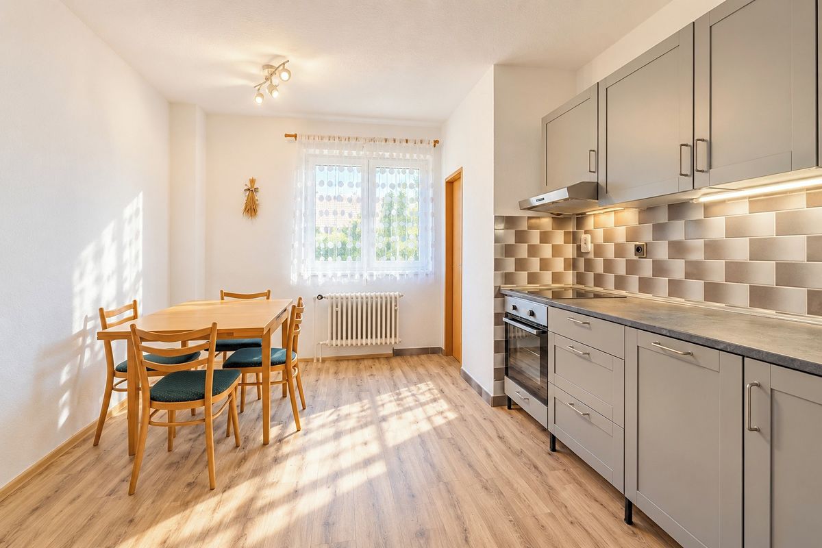 Prodej rodinného domu 300 m², pozemek 1755 m² – fotografie 5