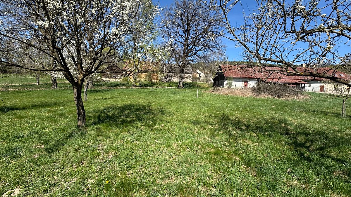 Prodej zemědělské usedlosti 290 m², pozemek 7612 m² – fotografie 5