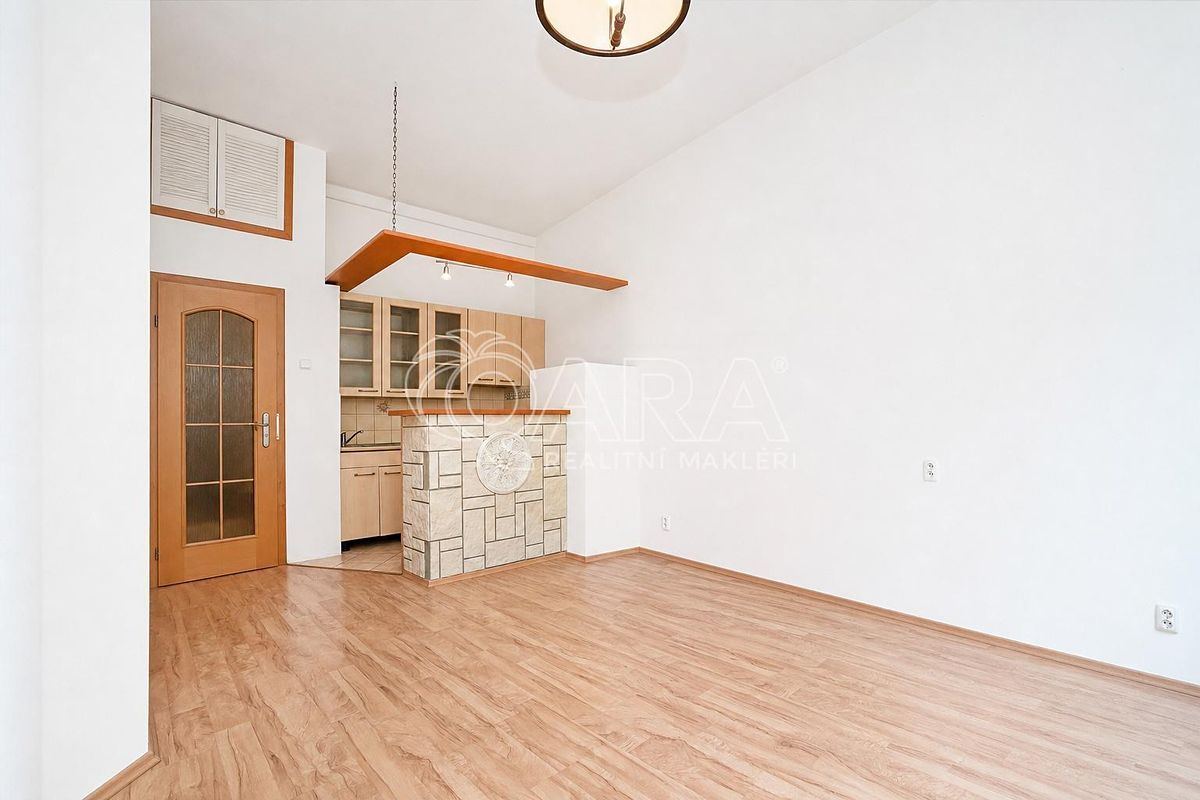 Pronájem bytu 1+kk 28 m² – fotografie 4