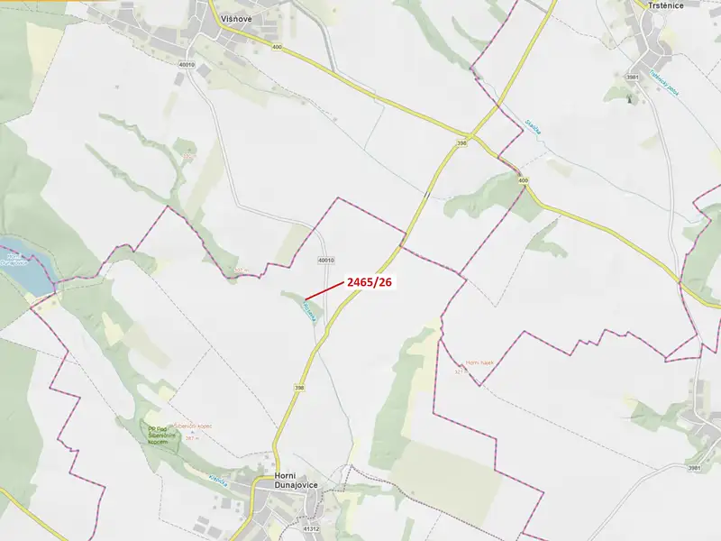 Dražba lesa 178 m², Horní Dunajovice – náhled fotky 1