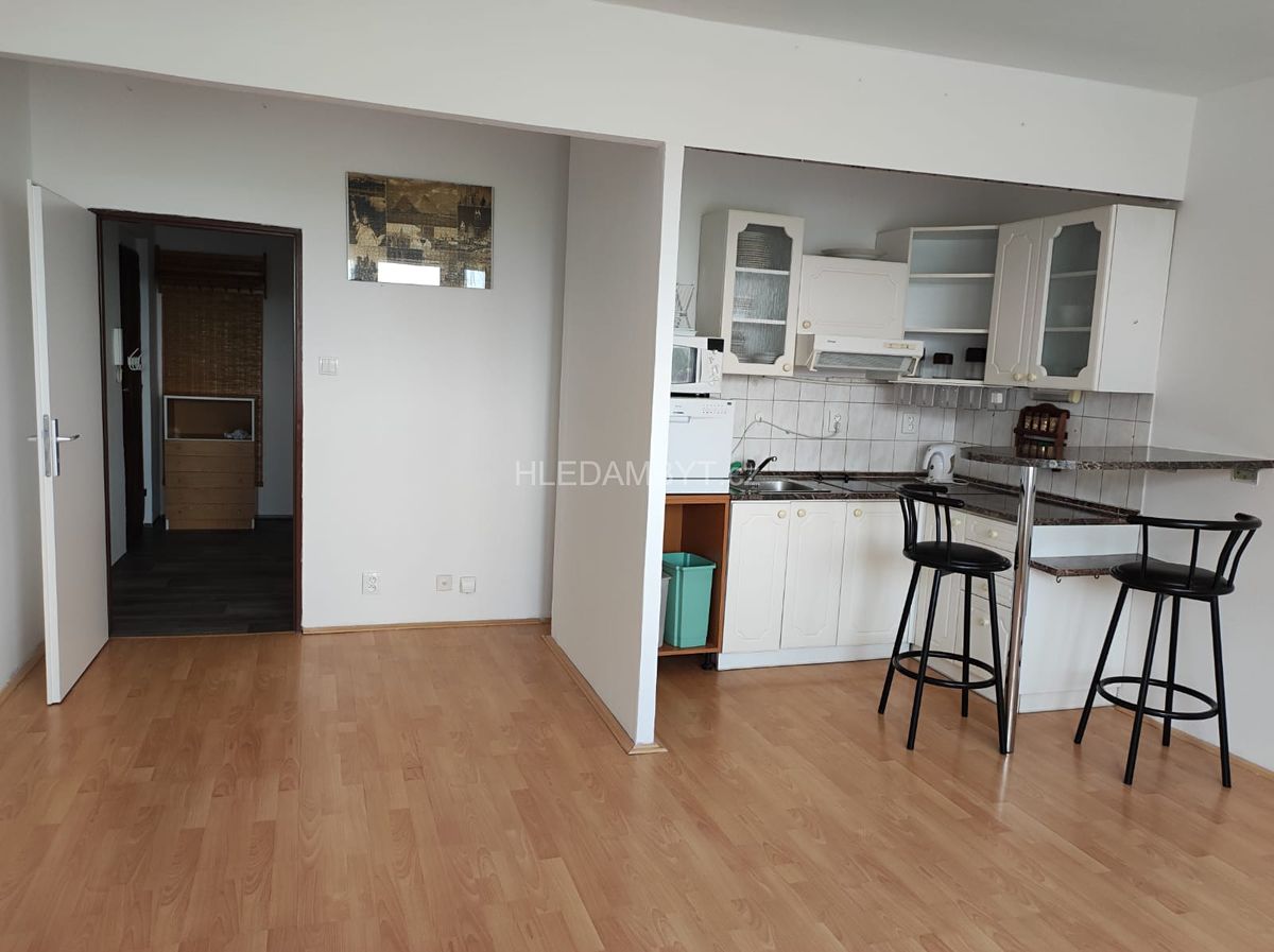 Pronájem bytu 1+kk 40 m² – fotografie 2