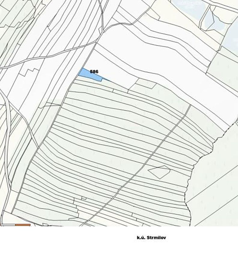 Prodej lesa 1644 m² – fotografie 3