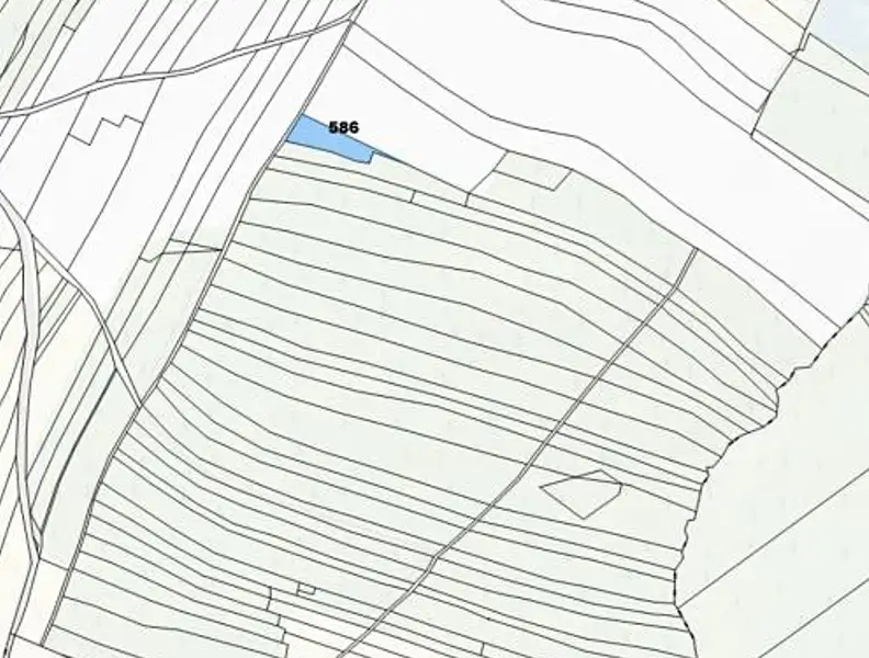 Prodej lesa 1644 m², Strmilov – náhled fotky 3