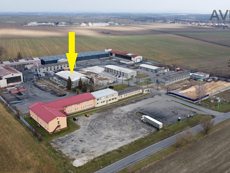 Pronájem komerčního prostoru, 1 200 m² (4 z 26)