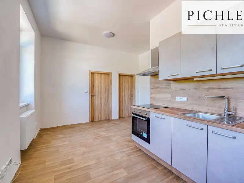 Pronájem bytu 3+kk 57 m², Horní Bříza – náhled fotky 1