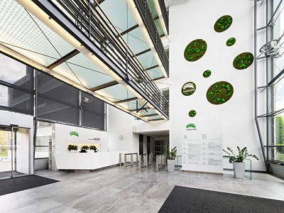Gewerbefläche zur Miete, 25 m² (2 von 11)