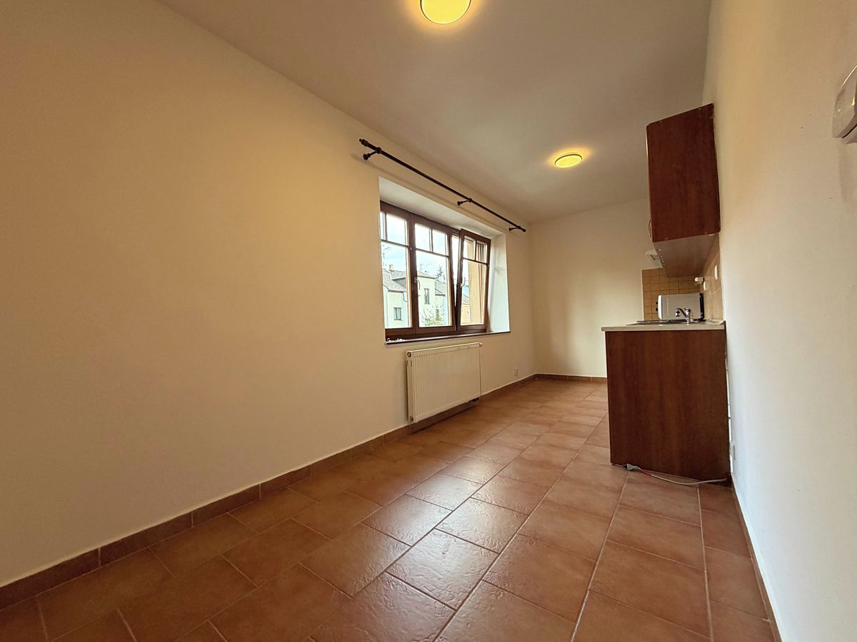 Pronájem bytu 1+1 45 m² – fotografie 4