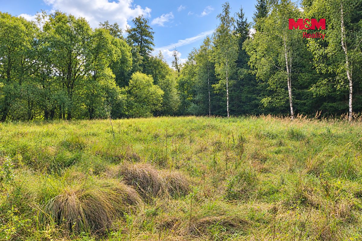 Prodej louky 10113 m² – fotografie 3