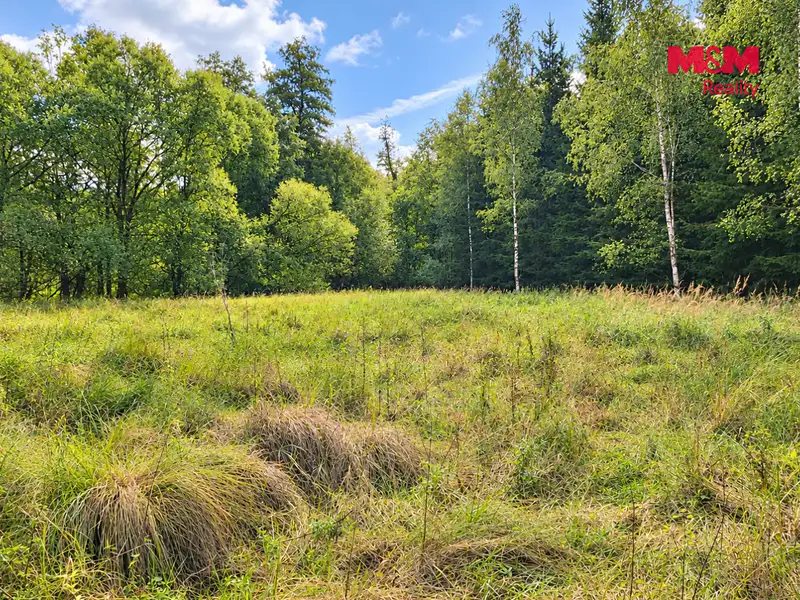 Prodej louky 10113 m², Kožlany – náhled fotky 3