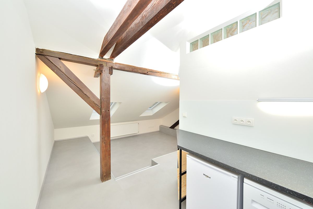 Pronájem bytu 1+kk 29 m² – fotografie 3