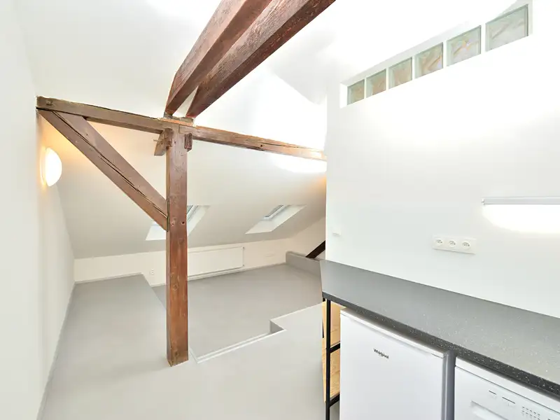 Pronájem bytu 1+kk 29 m², Praha – náhled fotky 3