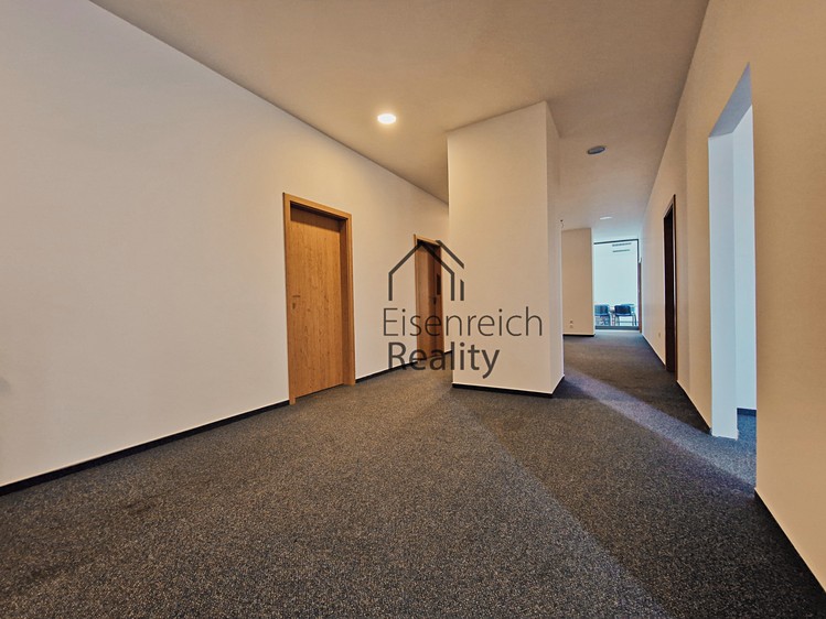 Комерційне приміщення в оренду, 250 м² (9 з 17)
