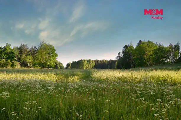 Prodej louky 5225 m², Příbram – náhled fotky 2