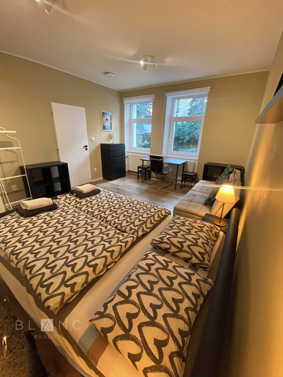 Pronájem bytu 1+1 38 m² – fotografie 2