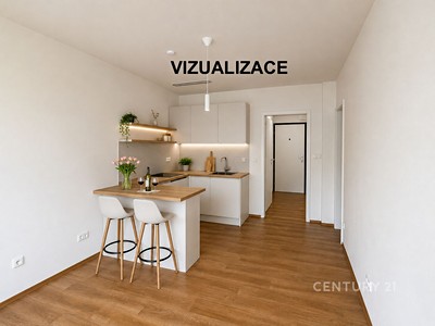 Prodej bytu 1+kk, 30 m² (2 z 16)