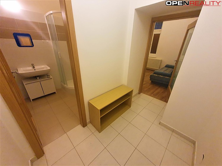 Pronájem bytu 1+1, 33 m² (2 z 6)