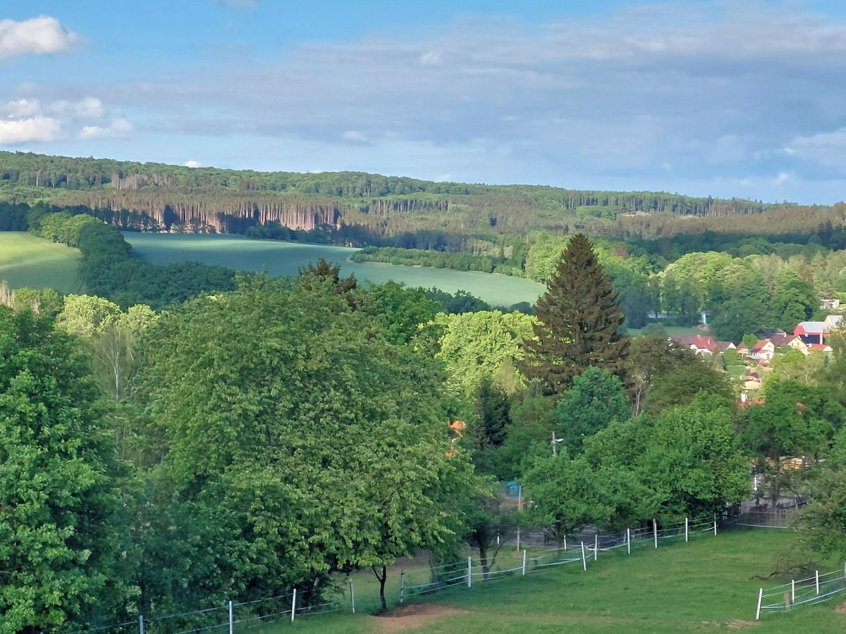 Prodej rodinného domu 100 m², pozemek 175 m² – fotografie 2