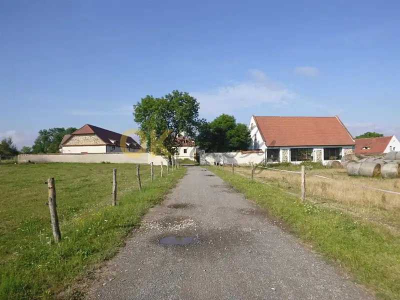 Dražba komerční nemovitosti 500 m², Rakovník – náhled fotky 3