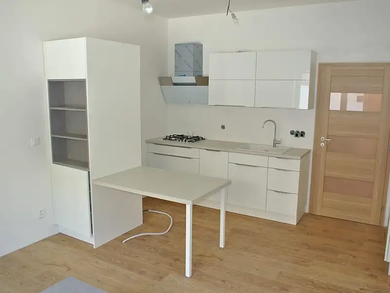Pronájem bytu 2+kk 46 m², Brno – náhled fotky 1