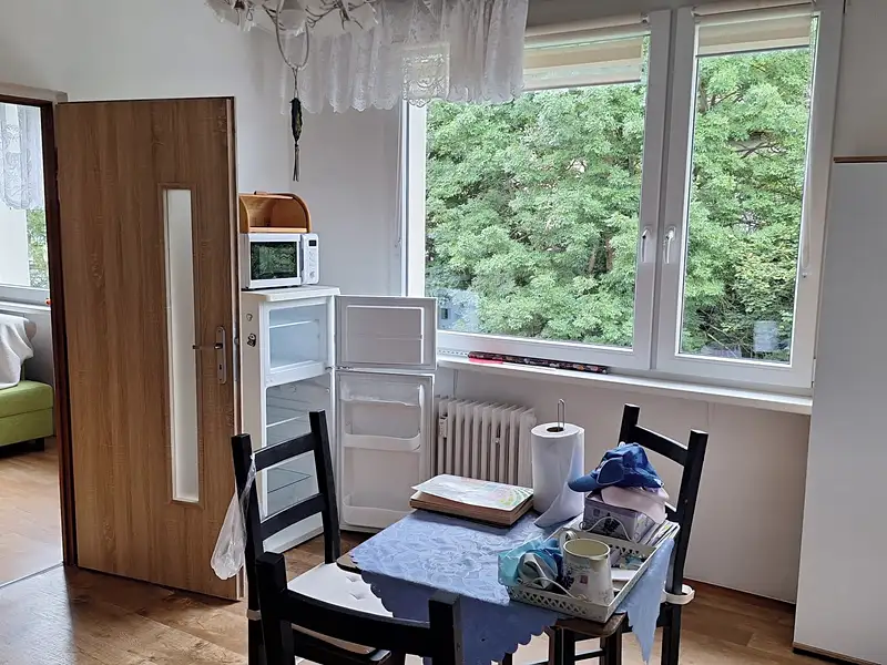 Prodej bytu 1+1 40 m², Desná – náhled fotky 1